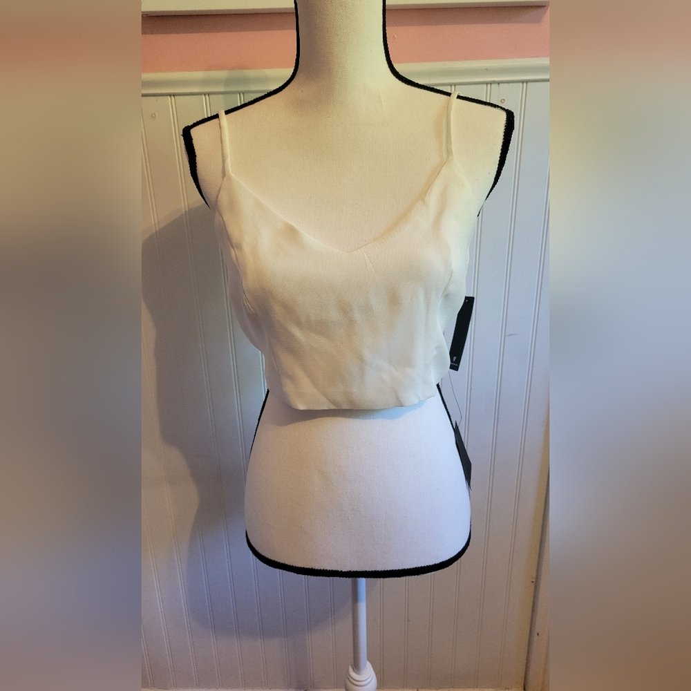 Lulu's Satin Croptop